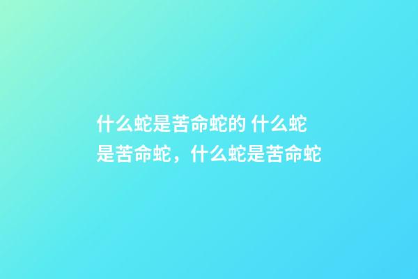 什么蛇是苦命蛇的 什么蛇是苦命蛇，什么蛇是苦命蛇-第1張-觀點-玄機派